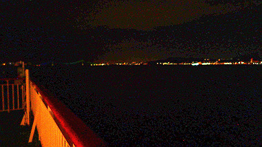 20221126_pb263087_thumb.jpg