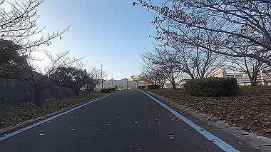 20221127_gx017338.mp4_snapshot_00.08_thumb.jpg
