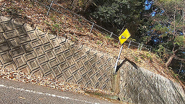 20221127_gx017353.mp4_snapshot_01.17_thumb.jpg