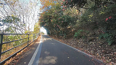 20221127_gx017367.mp4_snapshot_01.38_thumb.jpg
