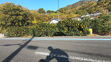 20221127_gx017379.mp4_snapshot_01.34_thumb.jpg