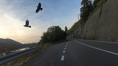 20221127_gx017391.mp4_snapshot_02.06_thumb.jpg