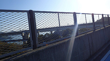 20221127_pb273163_thumb.jpg