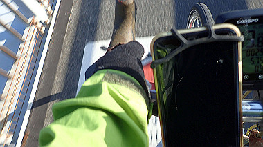 20221127_pb273176_thumb.jpg