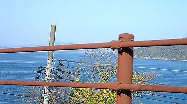 20221127_pb273197_thumb.jpg