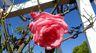 20221127_pb273251_thumb.jpg