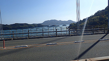 20221127_pb273272_thumb.jpg