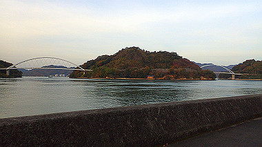 20221127_pb273397_thumb.jpg