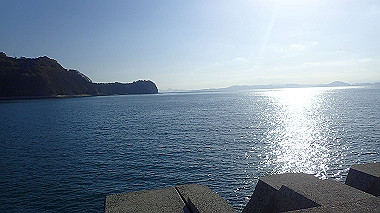 20221128_pb283477_thumb.jpg