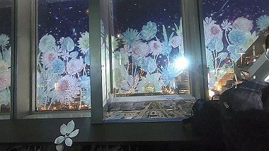 2022-12-27_gx017486.mp4_snapshot_00.28_thumb.jpg