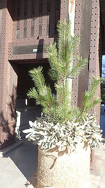 2022-12-27_pc273642_thumb.jpg