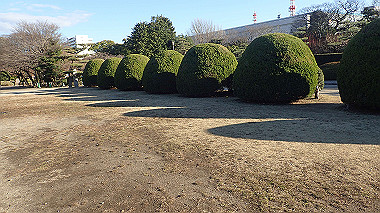 2022-12-27_pc273757_thumb.jpg