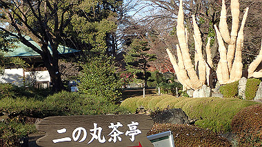 2022-12-27_pc273761_thumb.jpg
