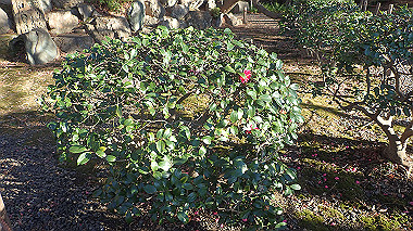 2022-12-27_pc273766_thumb.jpg