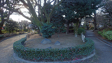 2022-12-27_pc273772_thumb.jpg