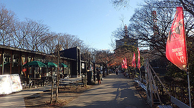 2022-12-27_pc273779_thumb.jpg
