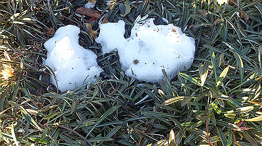2022-12-27_pc273787_thumb.jpg