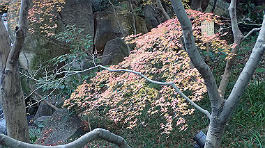 2022-12-27_pc273816_thumb.jpg
