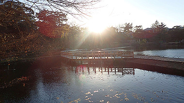 2022-12-27_pc273826_thumb.jpg