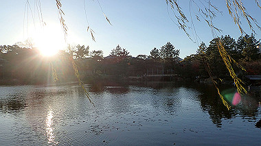 2022-12-27_pc273828_thumb.jpg