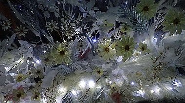 2022-12-27_pc273857_thumb.jpg