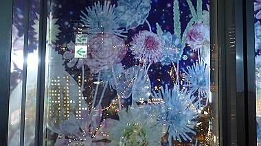 2022-12-27_pc273871_thumb.jpg