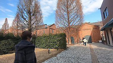 2022-12-28_gx017497.mp4_snapshot_00.00_thumb.jpg