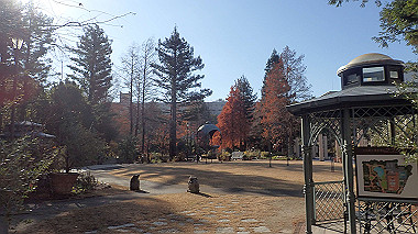 2022-12-28_pc283953_thumb.jpg