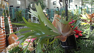 2022-12-28_pc283964_thumb.jpg