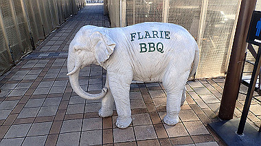 2022-12-28_pc283976_thumb.jpg