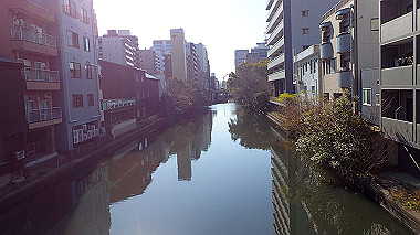 2022-12-28_pc283988_thumb.jpg