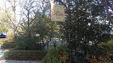 2022-12-28_pc284075_thumb.jpg