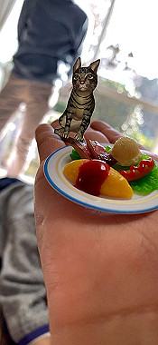 2023-01-02_14-00-45_160_thumb.jpg