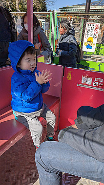 2023-02-26_13-38-49_000_thumb.jpg