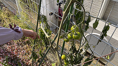 2023-01-07_10-46-09_897_thumb.jpg