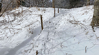 2023-01-26_10-58-28_739_thumb.jpg
