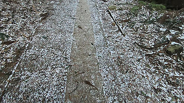gx017523.mp4_snapshot_00.18_thumb.jpg