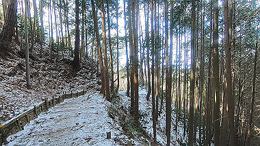 gx017524.mp4_snapshot_00.13_thumb.jpg