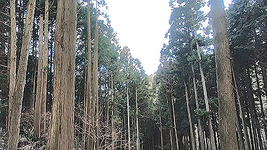 gx017524.mp4_snapshot_01.00_thumb.jpg