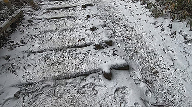 gx017527.mp4_snapshot_01.16_thumb.jpg