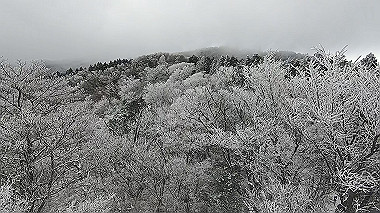 gx017529.mp4_snapshot_00.09_thumb.jpg