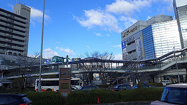 p1264184_thumb.jpg