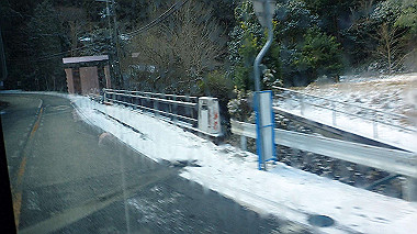 p1264189_thumb.jpg