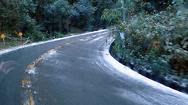 p1264193_thumb.jpg
