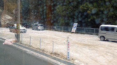 p1264199_thumb.jpg