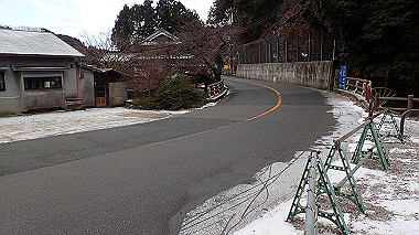 p1264208_thumb.jpg