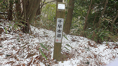 p1264236_thumb.jpg