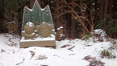 p1264242_thumb.jpg