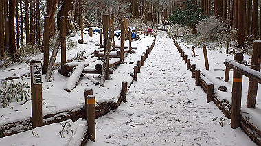 p1264254_thumb.jpg