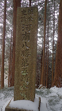 p1264257_thumb.jpg